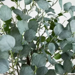 Trees & Topiaries>Kirklands Home Pre-Lit Warm LED Eucalyptus Plant, 6 ft.