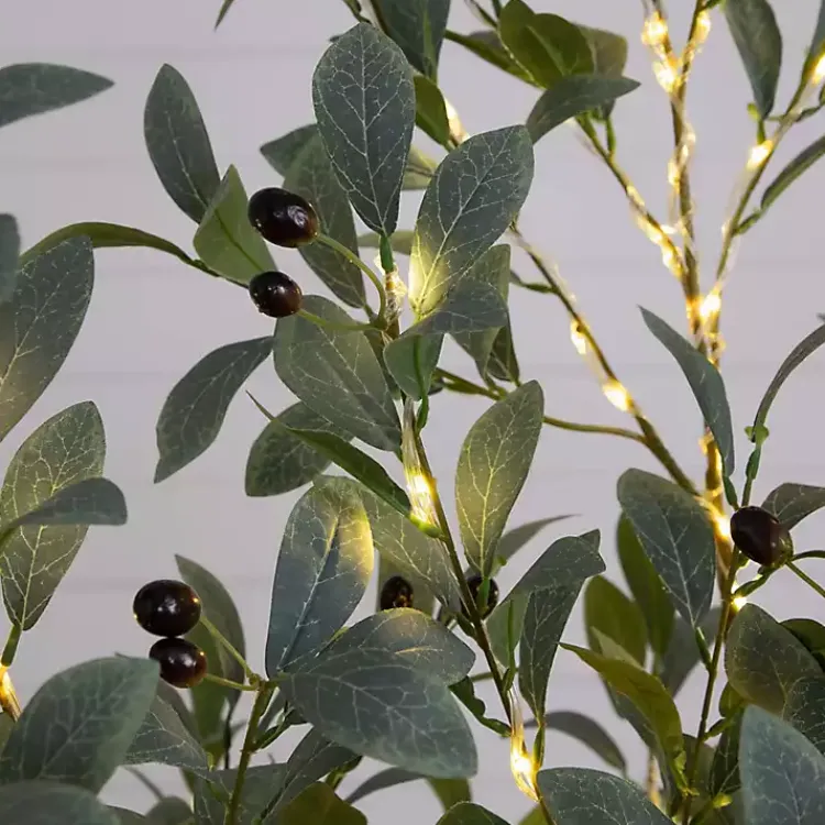Trees & Topiaries>Kirklands Home Pre-Lit Warm LED Olive Tree, 5 ft.