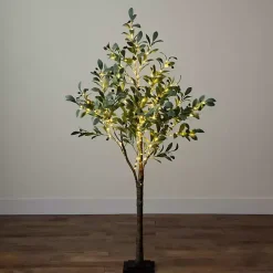 Trees & Topiaries><noscript><img width=