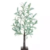 Trees & Topiaries>Kirklands Home Pre-Lit Warm LED Olive Tree, 2 ft.