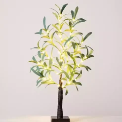 Trees & Topiaries><noscript><img width=