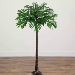 Trees & Topiaries><noscript><img width=