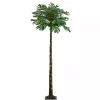 Trees & Topiaries>Kirklands Home Pre-Lit Warm LED Palm Tree, 6 ft.