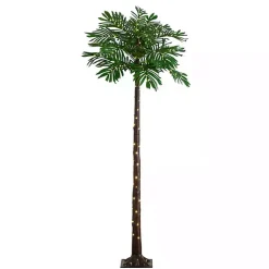 Trees & Topiaries>Kirklands Home Pre-Lit Warm LED Palm Tree, 6 ft.