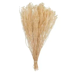 Stems & Bouquets>Kirklands Home Preserved Natural Bleached Staavia Bush Tan