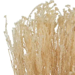 Stems & Bouquets><noscript><img width=