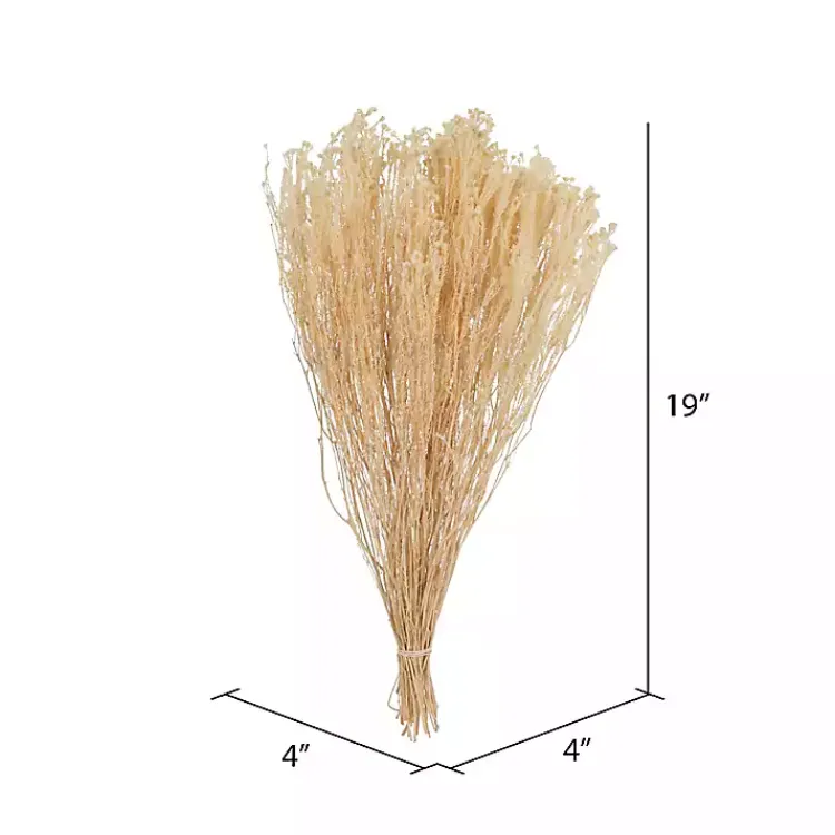 Stems & Bouquets>Kirklands Home Preserved Natural Bleached Staavia Bush Tan