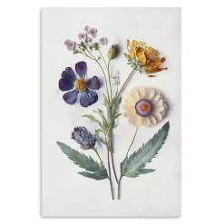 Kirklands Home Pressed Flower Memories I Canvas Art Print Clearance