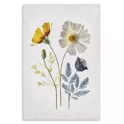 Kirklands Home Pressed Flower Memories II Canvas Art Print