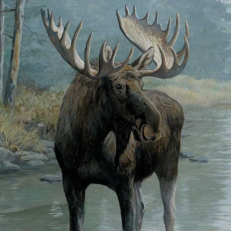 Kirklands Home Quiet Water Moose Framed Canvas Art Print Outlet