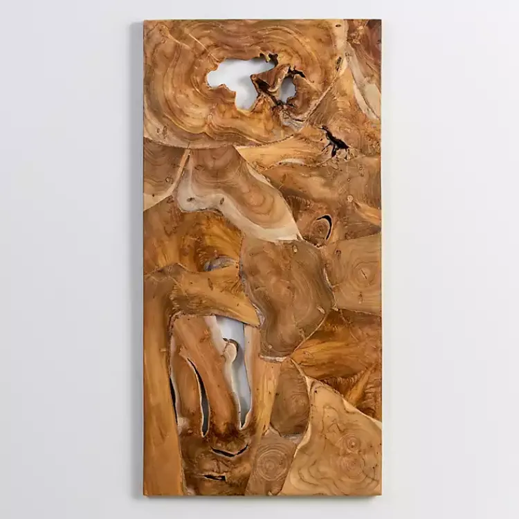Kirklands Home Raw Teak Root Panel Wall Plaque Brown New
