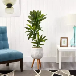 Trees & Topiaries><noscript><img width=