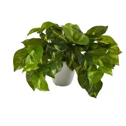Arrangements & Greenery>Kirklands Home Real Touch Variegated Pothos in White Planter