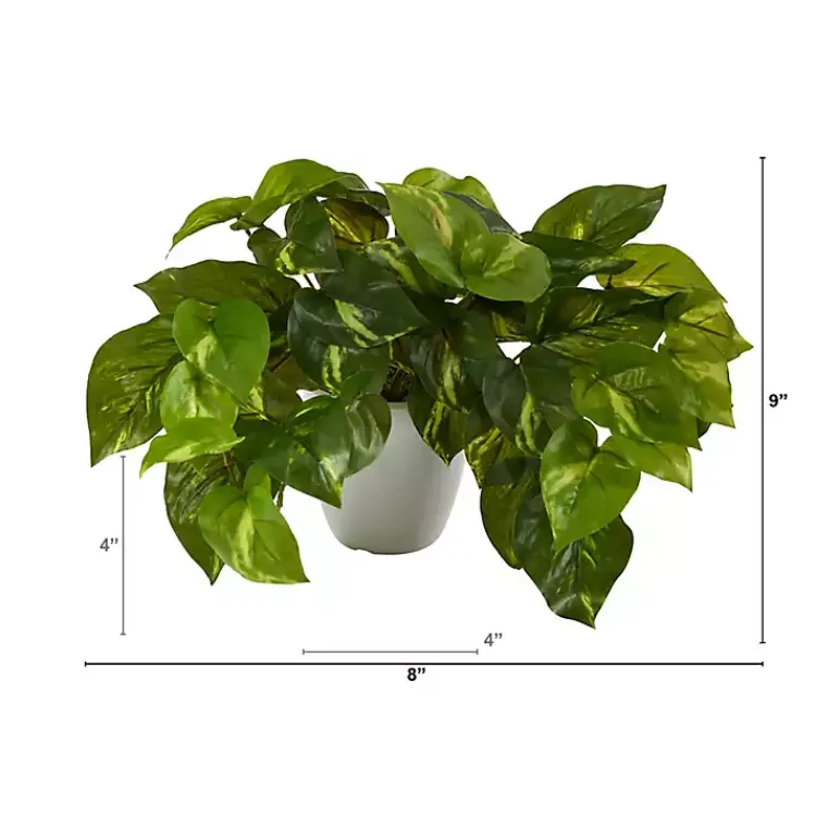 Arrangements & Greenery>Kirklands Home Real Touch Variegated Pothos in White Planter