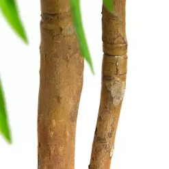 Trees & Topiaries><noscript><img width=