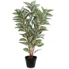 Trees & Topiaries>Kirklands Home Real Touch Zebra Plant in Nursery Planter