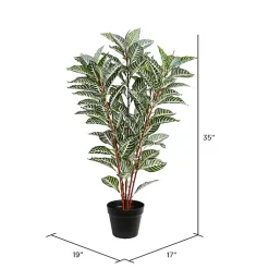 Trees & Topiaries><noscript><img width=