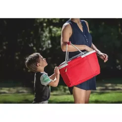 Kirklands Home Arkansas Razorbacks Cooler Basket Red Online