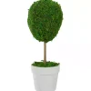 Trees & Topiaries>Kirklands Home Reindeer Moss Ball Topiary in White Pot