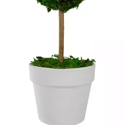 Trees & Topiaries><noscript><img width=
