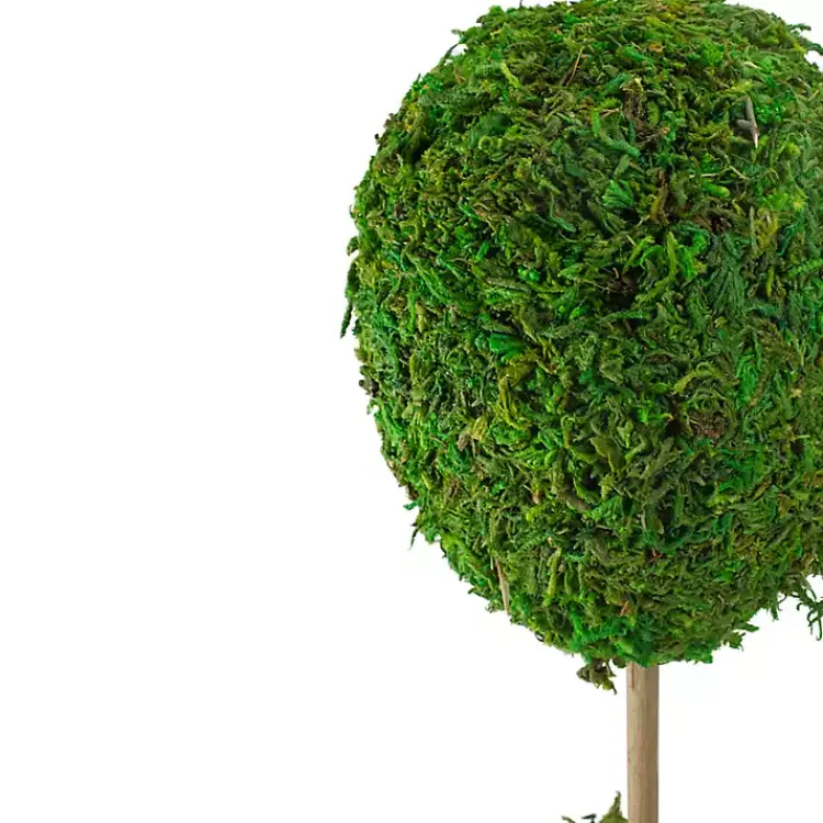 Trees & Topiaries>Kirklands Home Reindeer Moss Ball Topiary in White Pot