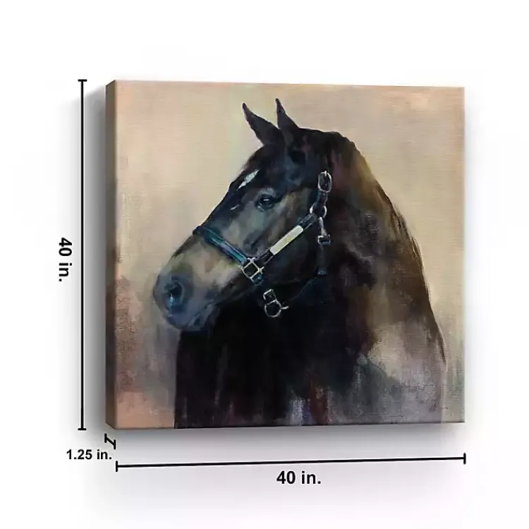 Kirklands Home Ritzy Horse Canvas Art Print New