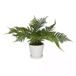 Arrangements & Greenery>Kirklands Home River Rock Fern in Ribbed White Planter