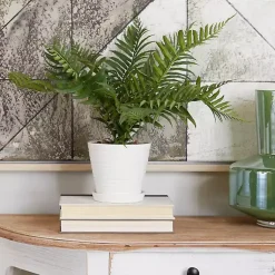 Arrangements & Greenery>Kirklands Home River Rock Fern in Ribbed White Planter