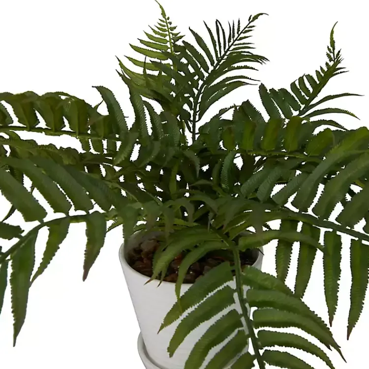 Arrangements & Greenery>Kirklands Home River Rock Fern in Ribbed White Planter