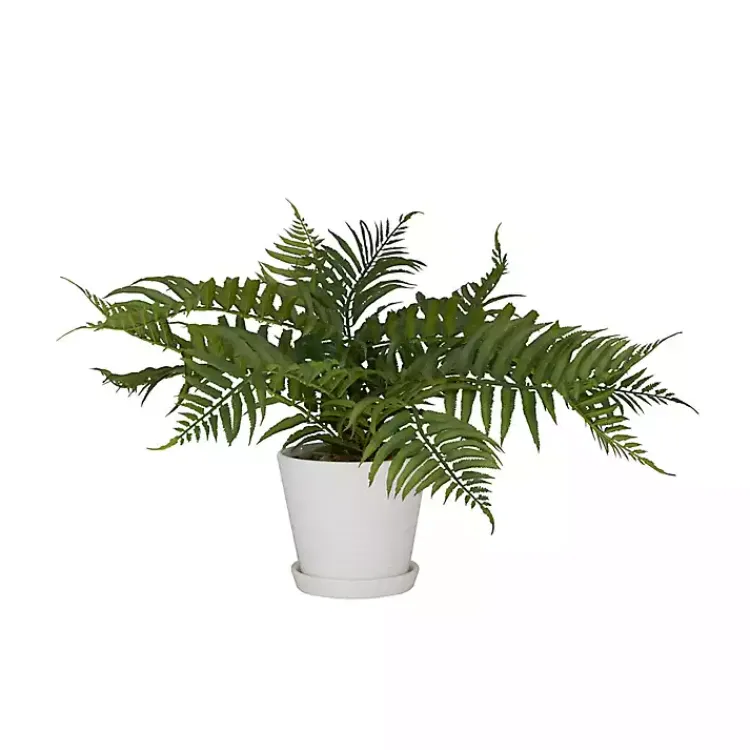 Arrangements & Greenery>Kirklands Home River Rock Fern in Ribbed White Planter