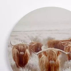 Kirklands Home Round Frosty Highland Cows Canvas Art Print Online