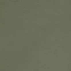 Kirklands Home Sage Room Darkening Curtain Panel Set, 54 in. Green Best