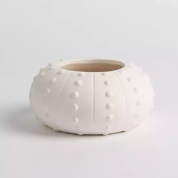 Candles>Kirklands Home Salt and Driftwood Sea Urchin Jar Candle White