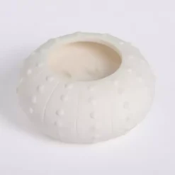 Candles>Kirklands Home Salt and Driftwood Sea Urchin Jar Candle White