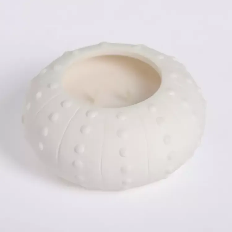 Candles>Kirklands Home Salt and Driftwood Sea Urchin Jar Candle White