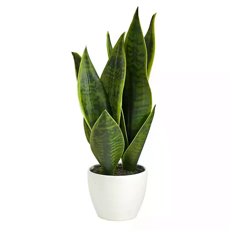 Arrangements & Greenery>Kirklands Home Sansevieria Arrangement in White Planter