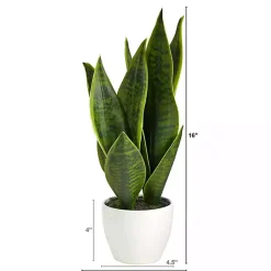 Arrangements & Greenery>Kirklands Home Sansevieria Arrangement in White Planter