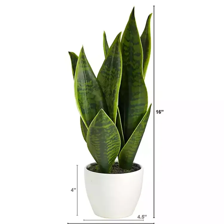Arrangements & Greenery>Kirklands Home Sansevieria Arrangement in White Planter