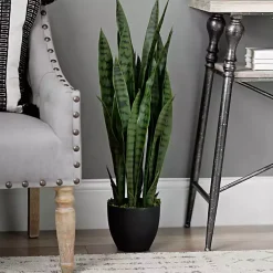 Trees & Topiaries>Kirklands Home Sansevieria Floor Plant in Black Planter