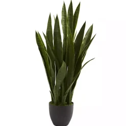 Trees & Topiaries>Kirklands Home Sansevieria Floor Plant in Black Planter