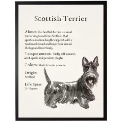 Kirklands Home Scottish Terrier Facts Framed Wall Plaque Outlet