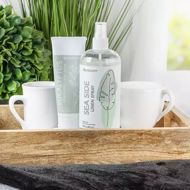 Home Fragrance>Kirklands Home Sea Side and Eucalyptus Fragrance 3-pc. Gift Set