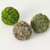 Bowl Filler>Kirklands Home Sedum Succulent Orbs, Set of 3