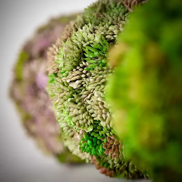 Bowl Filler>Kirklands Home Sedum Succulent Orbs, Set of 3