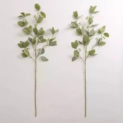 Stems & Bouquets>Kirklands Home Seeded Eucalyptus Sprays, Set of 2 Green