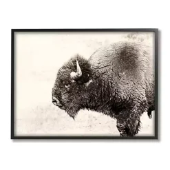 Kirklands Home Shaggy Buffalo Black Framed Canvas Art Print Brown Discount