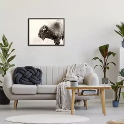Kirklands Home Shaggy Buffalo Black Framed Canvas Art Print Brown Discount