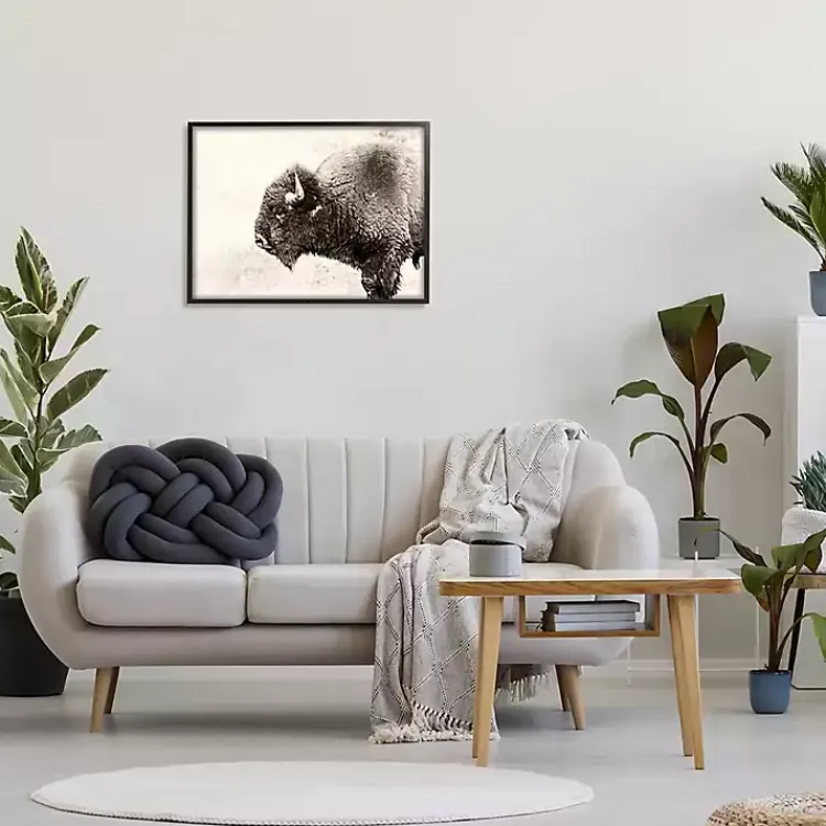 Kirklands Home Shaggy Buffalo Black Framed Canvas Art Print Brown Discount