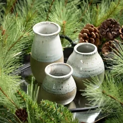 Vases><noscript><img width=