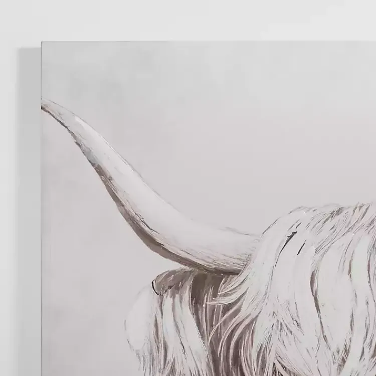 Kirklands Home Shy Highland Cow Canvas Art Print Best